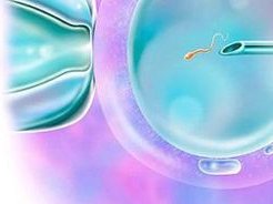 2026广元市最新男性陪产假有多少天？试管婴儿可以增加产假吗？