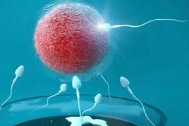 2026在楚雄市罗氏易位能做三代试管婴儿生子吗，相互易位和罗氏易位有什么区别？